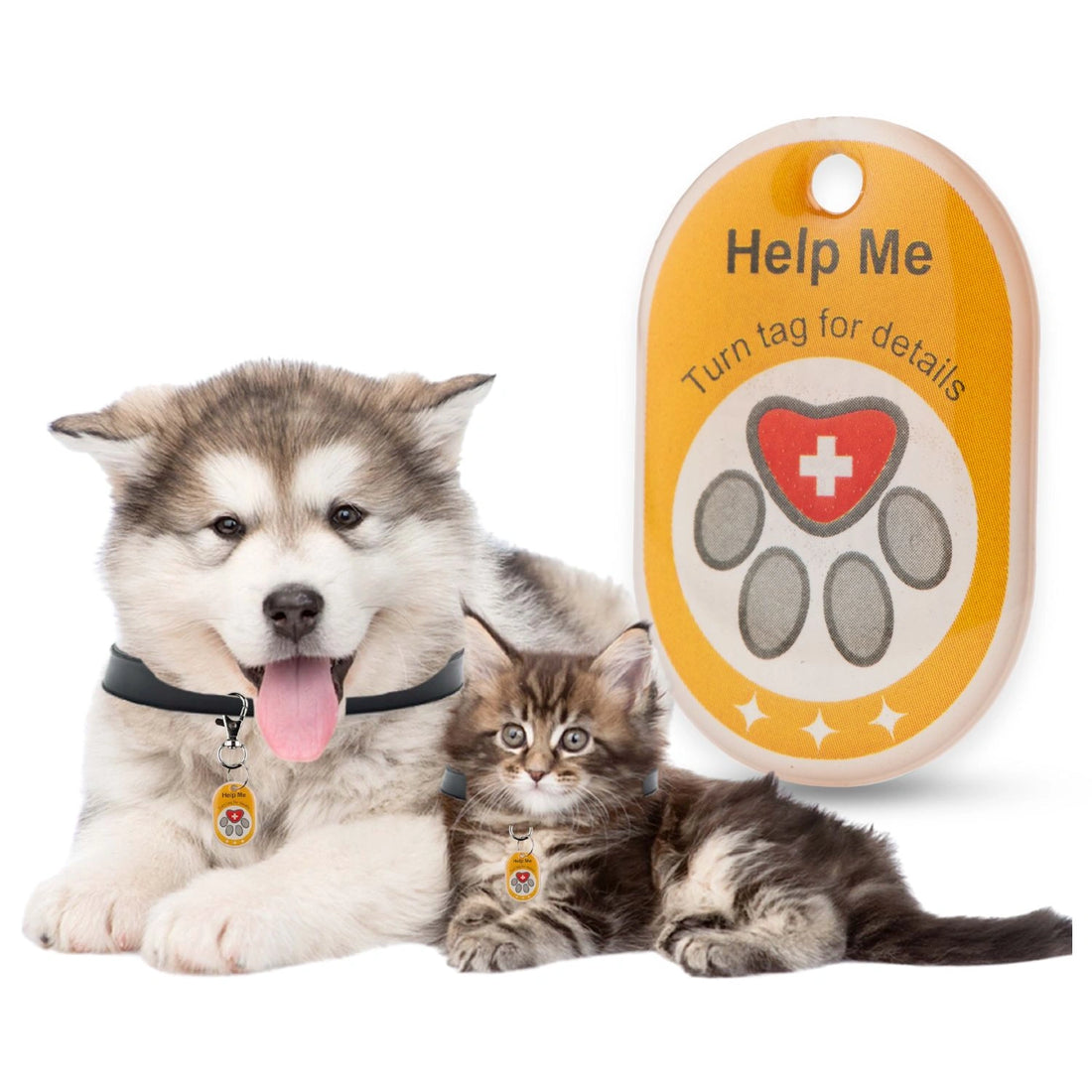 Genie Smart Pet Tag | QR Tag for Easy Pet Tracking & Locate