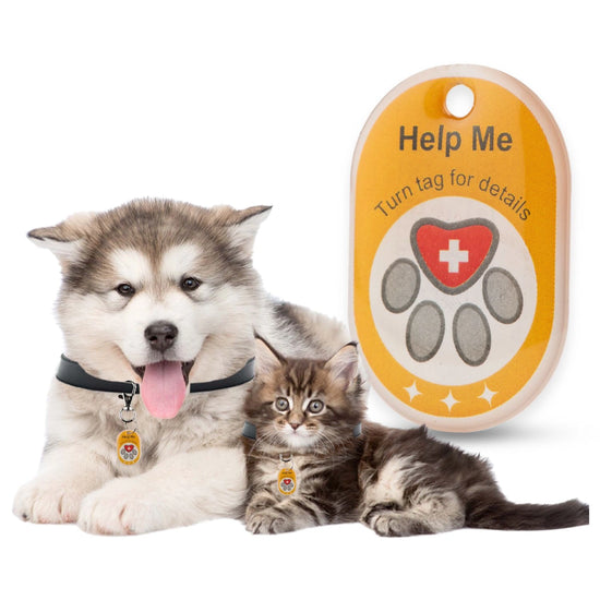 Genie Smart Pet Tag | QR Tag for Easy Pet Tracking & Locate