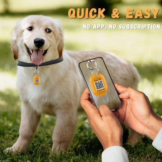 Genie Smart Pet Tag | QR Tag for Easy Pet Tracking & Locate