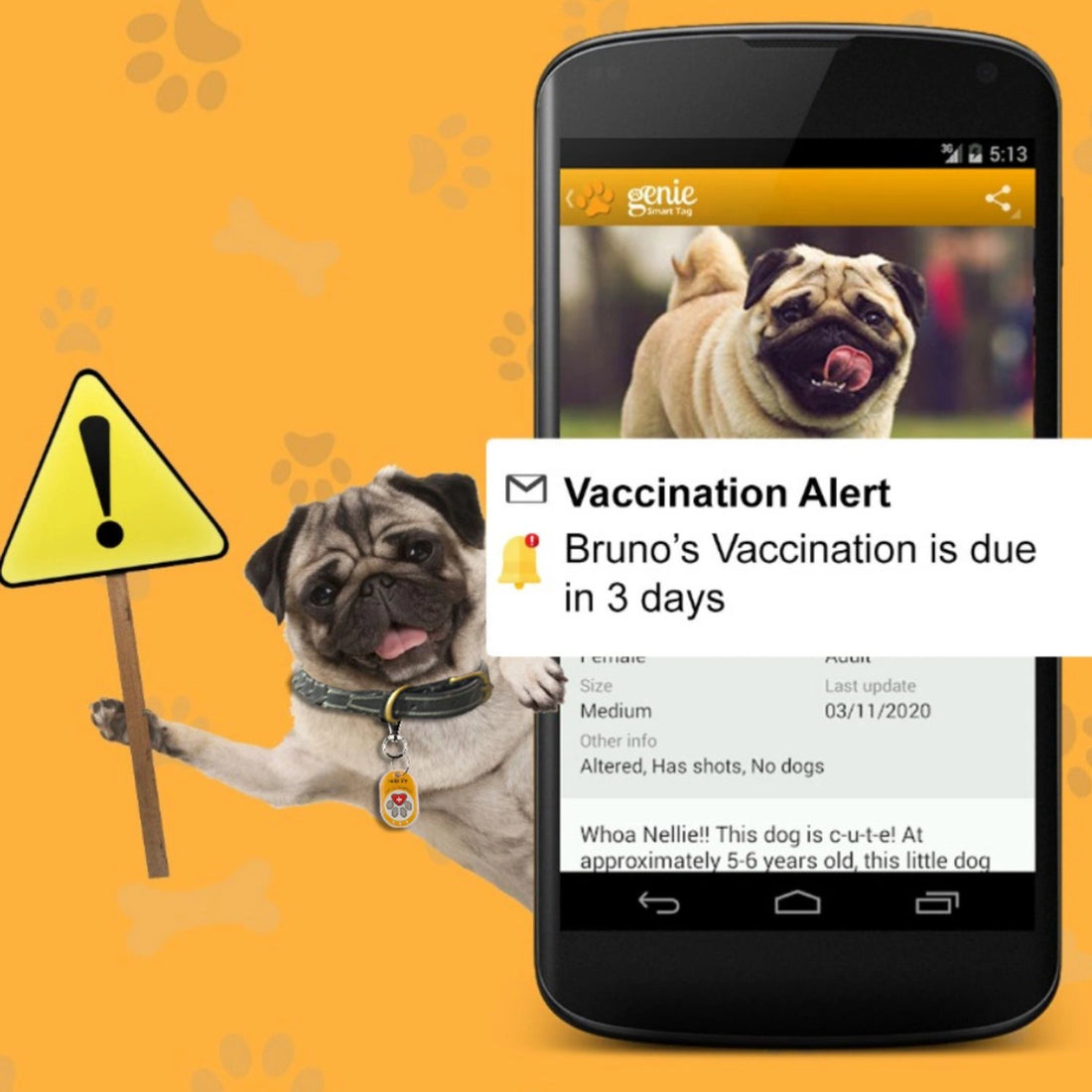 Genie Smart Pet Tag | QR Tag for Easy Pet Tracking & Locate