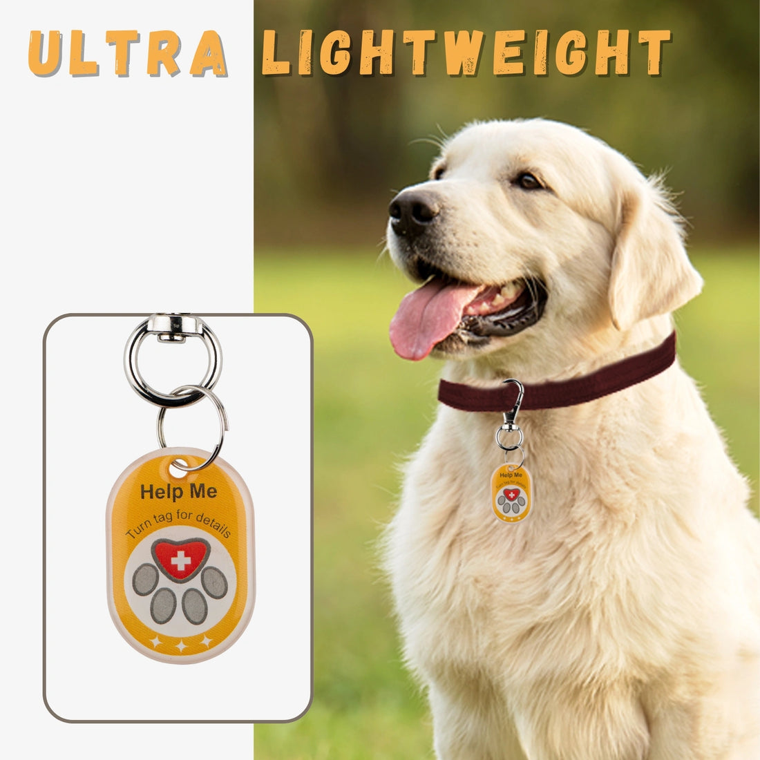 Genie Smart Pet Tag | QR Tag for Easy Pet Tracking & Locate