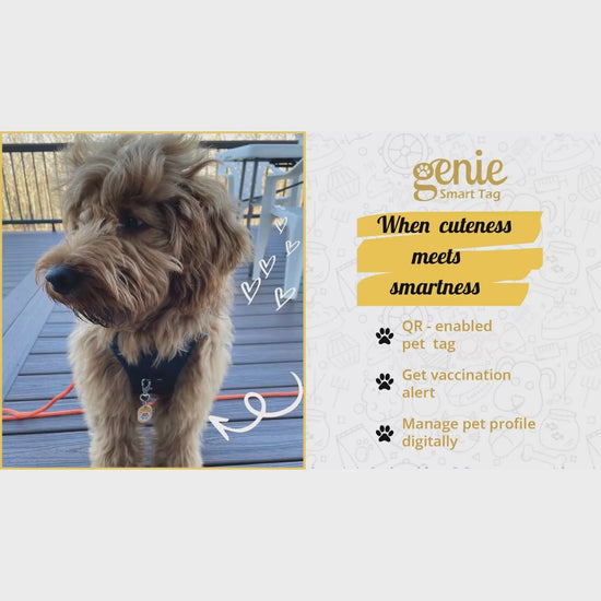 Genie Smart Pet Tag | QR Tag for Easy Pet Tracking & Locate