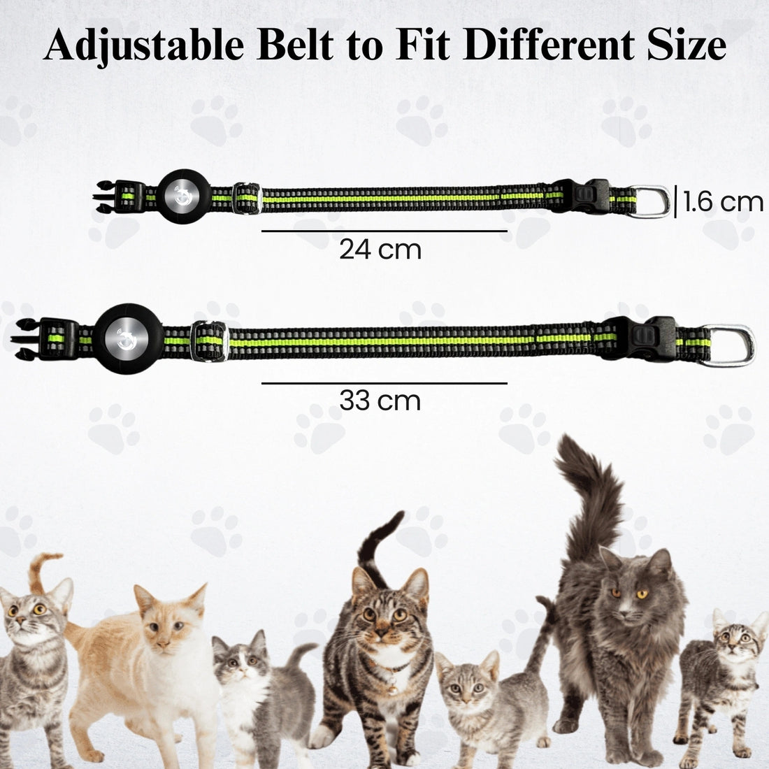 Genie Track Smart Pet Collar for iOS with QR code and digital ID by tag8