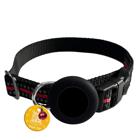 Genie Track Collar for pets with QR code and digital ID by tag8