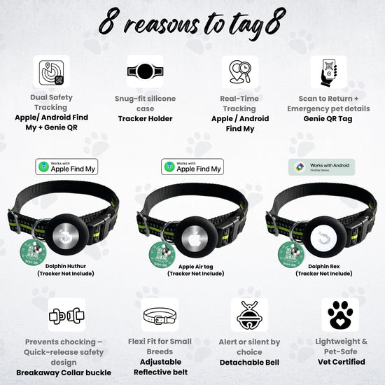 Genie Track Collar for pets with QR code and digital ID by tag8