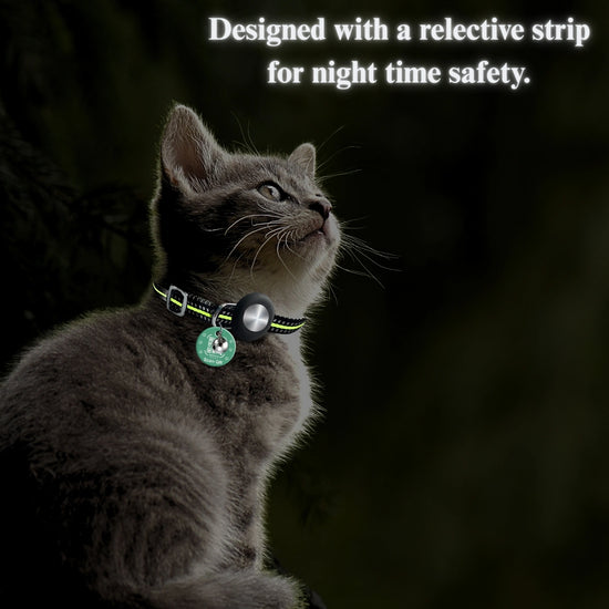 Genie Track Collar for pets with QR code and digital ID by tag8