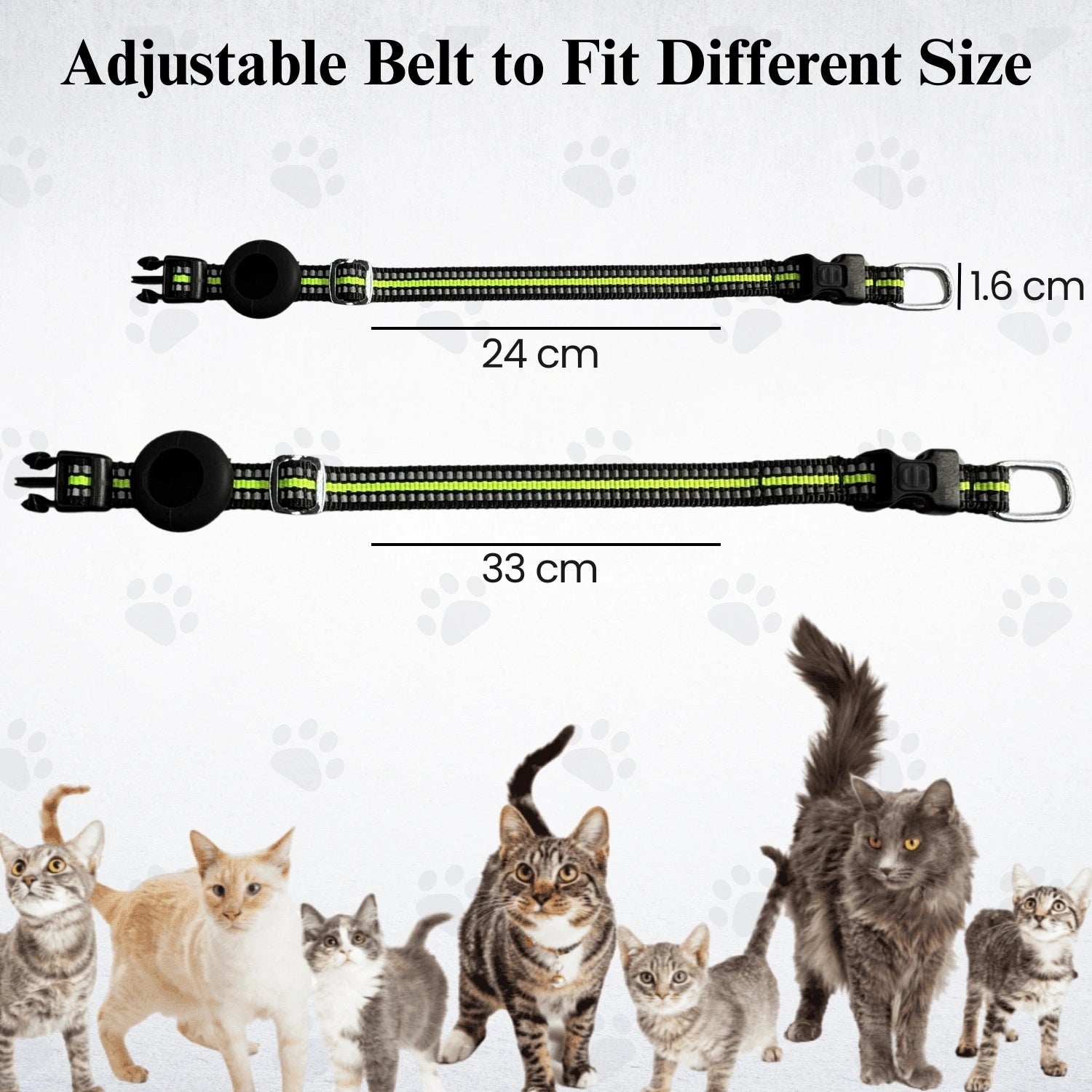 Genie Track Collar for pets with QR code and digital ID by tag8