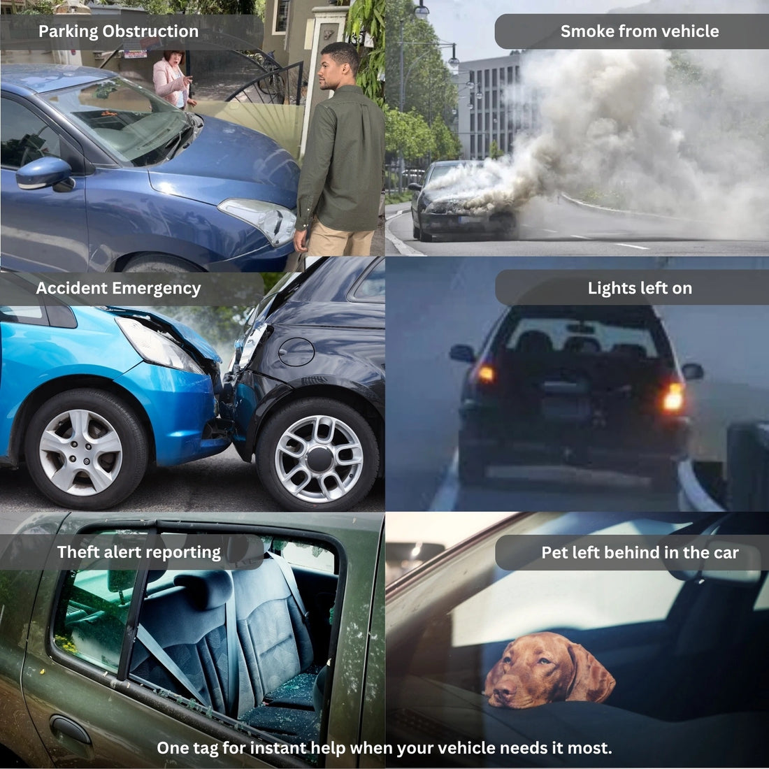 tag8 Genie Vehicle Emergency Tag with Auto Link for instant roadside assistance and emergency support