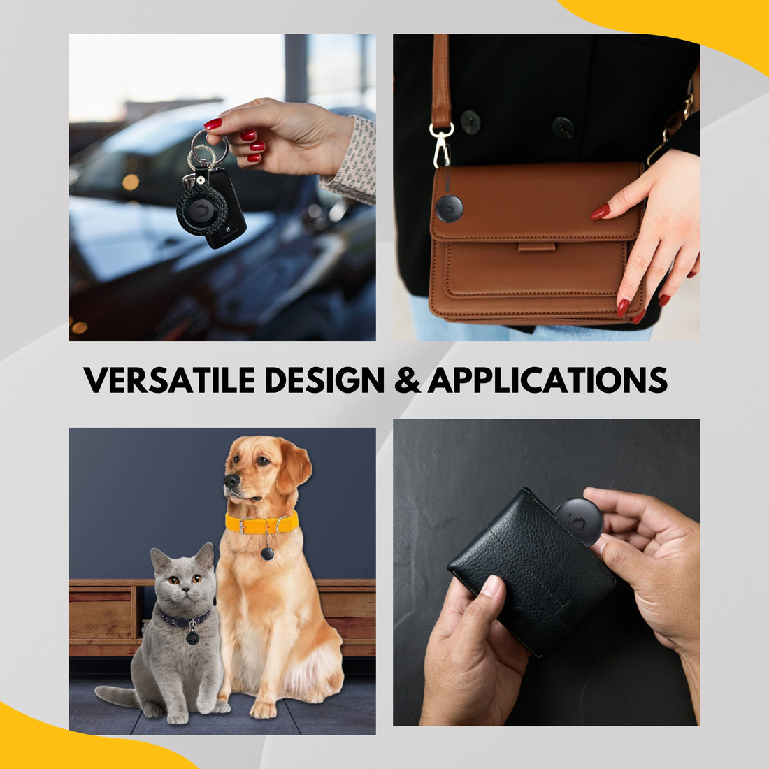 Dolphin Smart Tracker Rex iOS