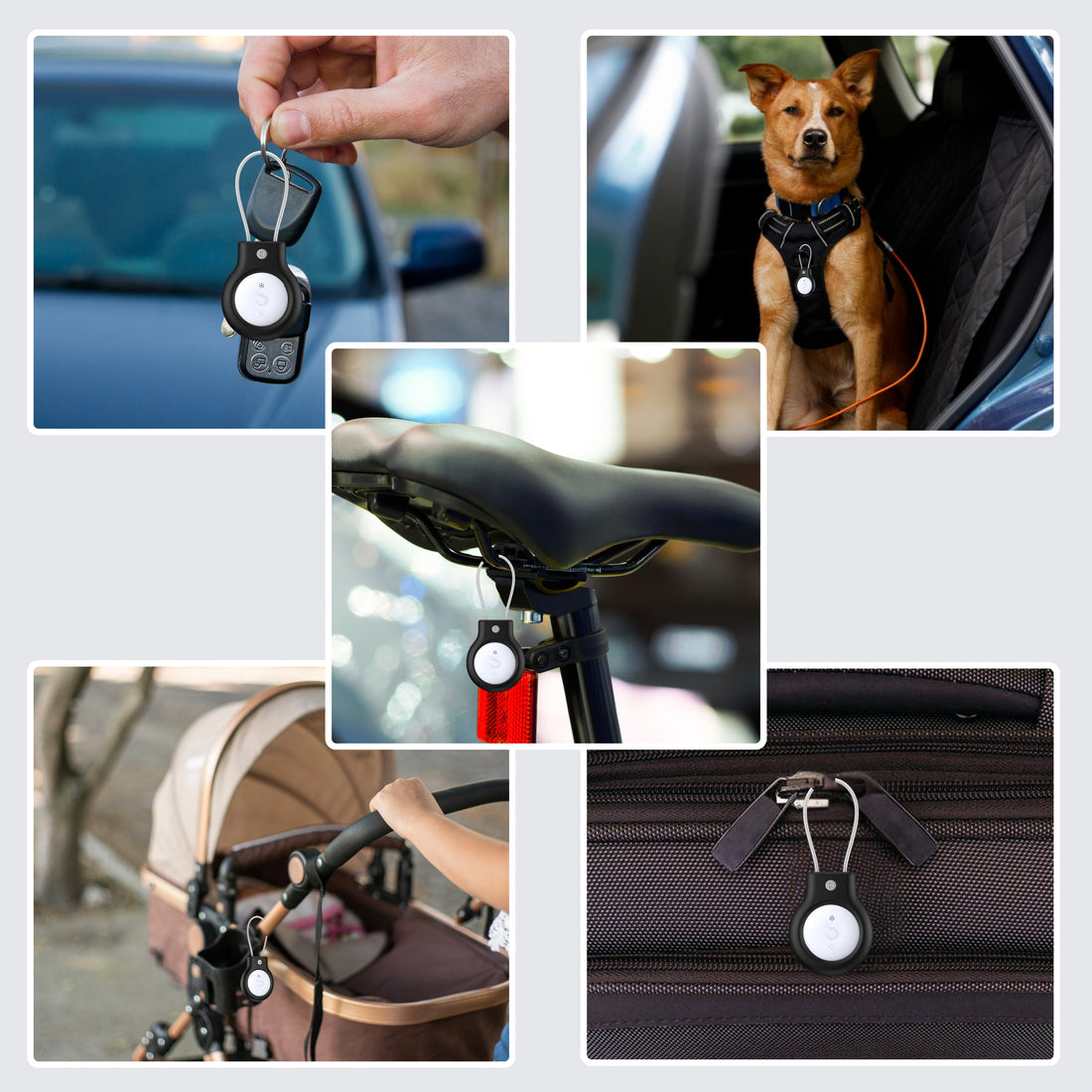 Dolphin Rex Android with Anti-theft Case