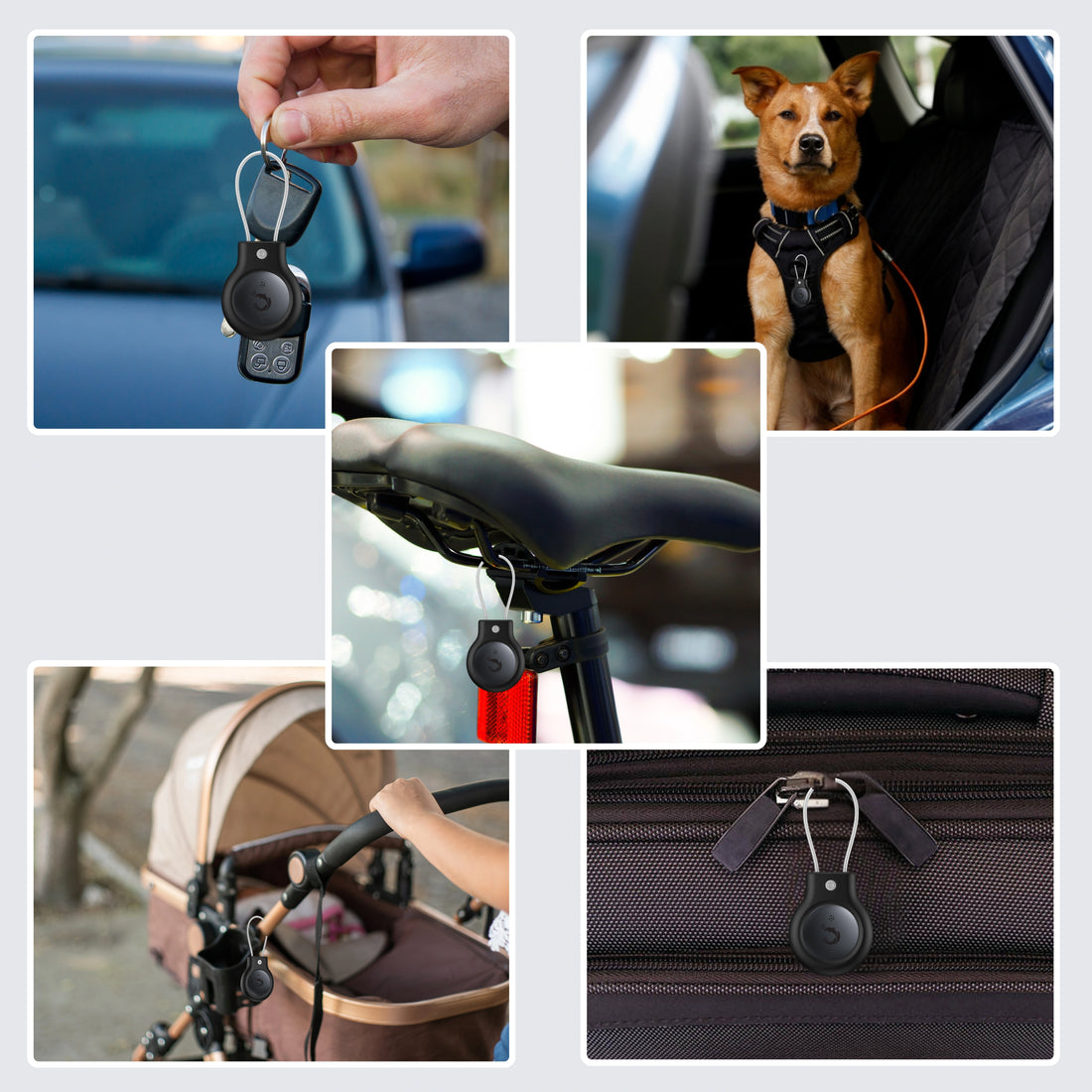 Dolphin Rex ios with Anti-theft Case