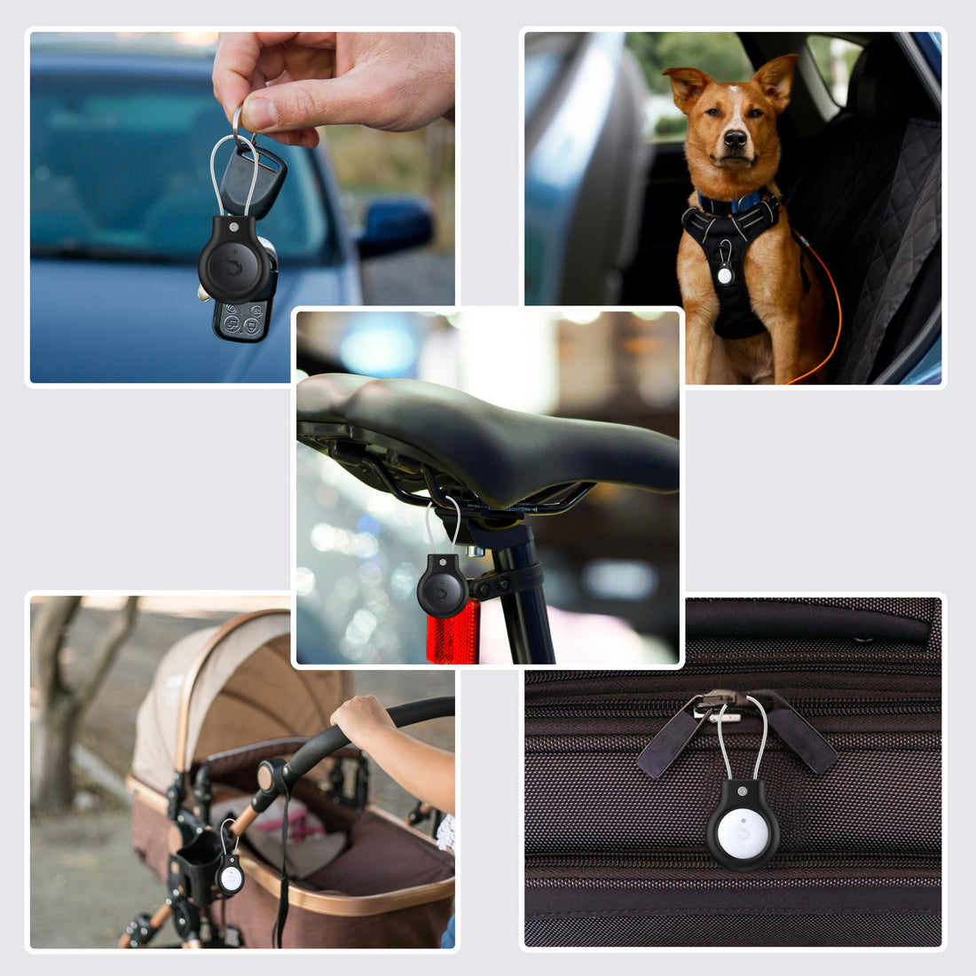 Anti-theft Case For Dolphin Rex