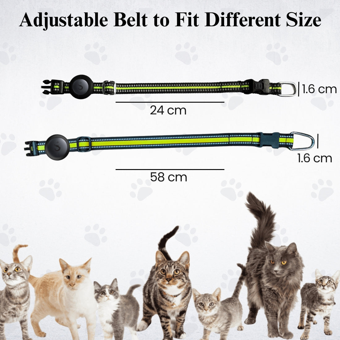 Genie Pet Tracker Kit  iOS