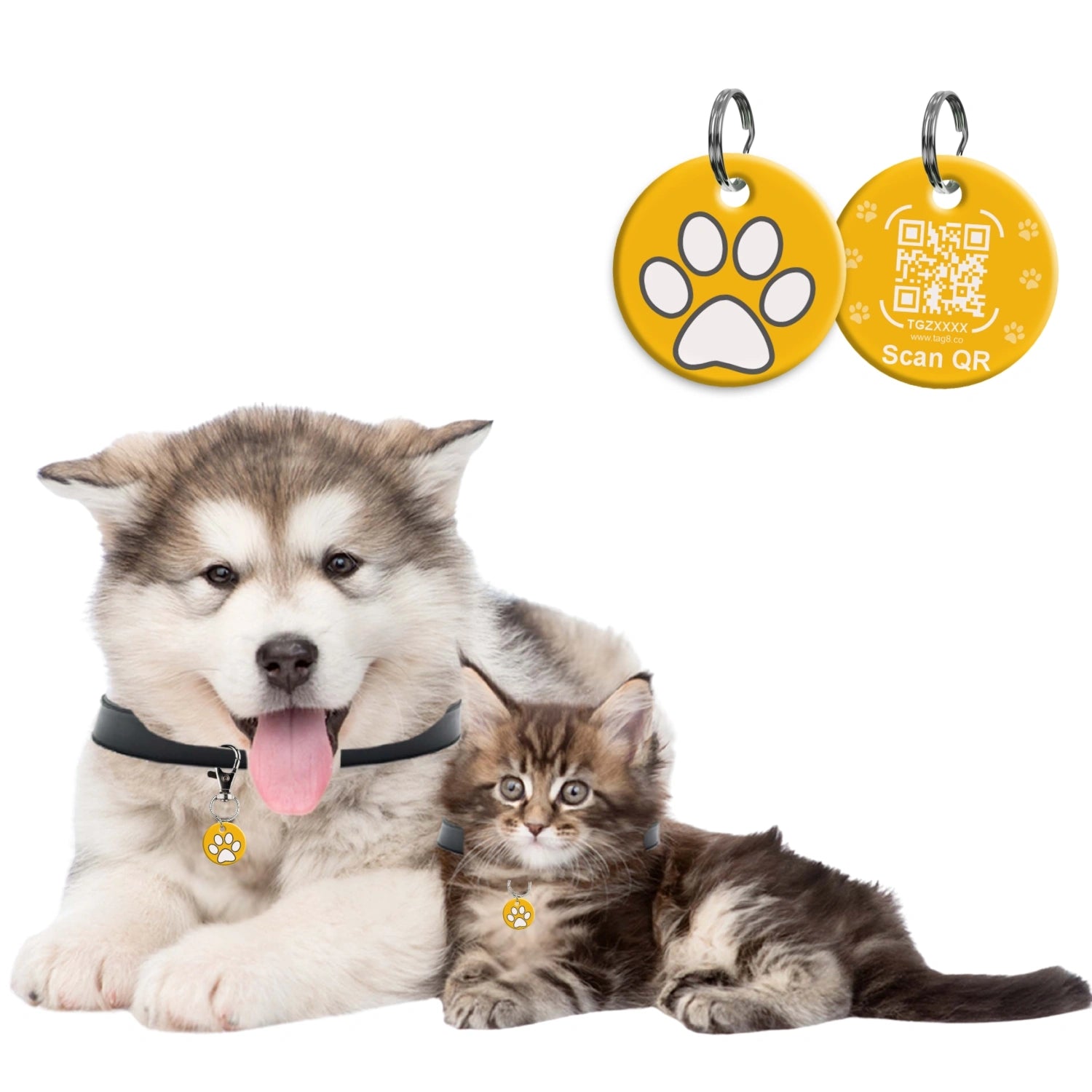 Genie Pet Tag