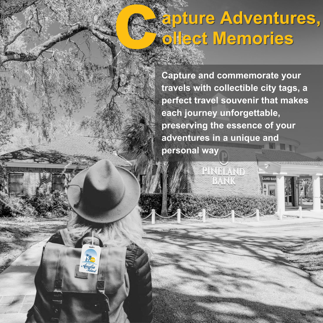 ஸ்மார்ட் பேக் டேக் அமெலியா தீவு FL நகரம்