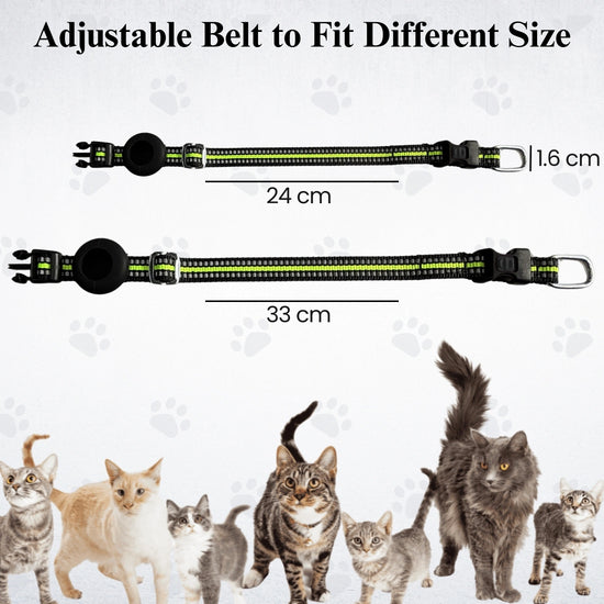 Genie Track Collar for pets with QR code and digital ID by tag8